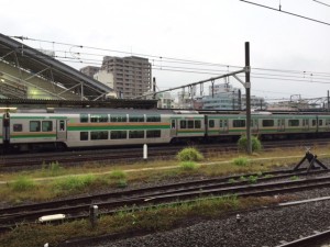 IMG_4531